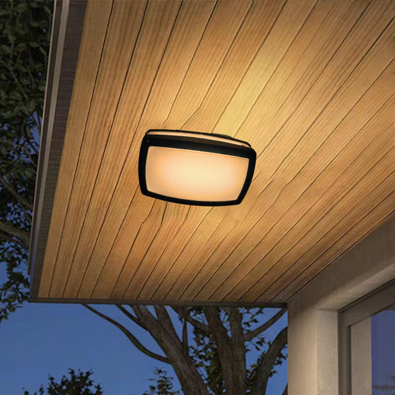 IP65 36W porch lights