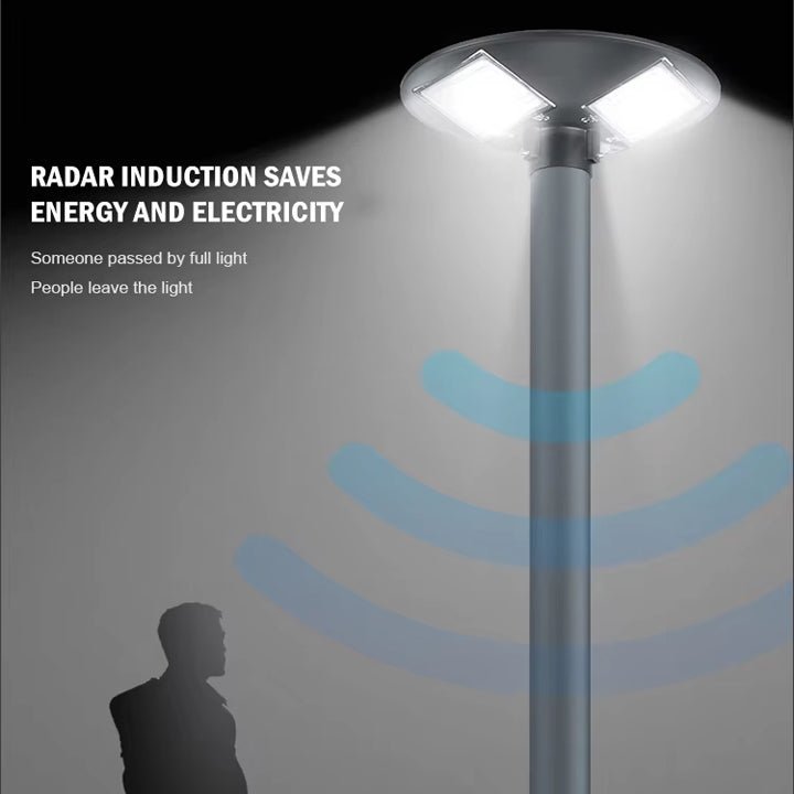 IP65 Human Sensor Induction Solar Garden Street Light - Better - Light(HK Belisson) Lighting Co.,Ltd