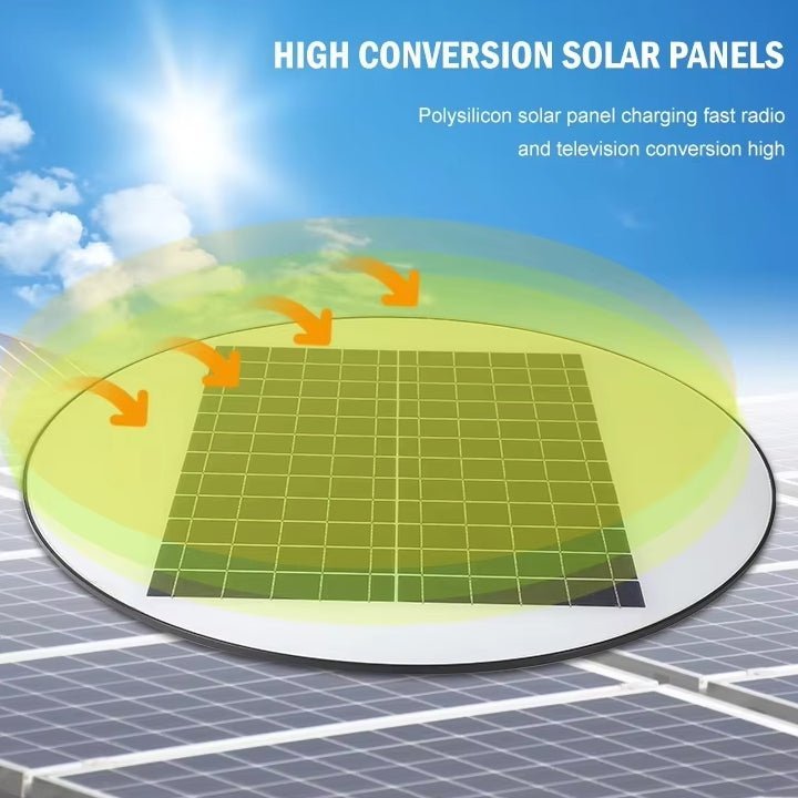 IP65 Human Sensor Induction Solar Garden Street Light - Better - Light(HK Belisson) Lighting Co.,Ltd