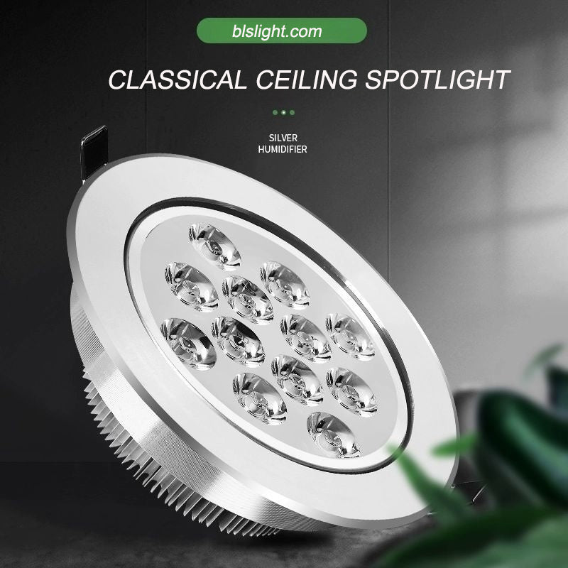Recessed LED Spotlight for Home Decoration - Better - Light(HK Belisson) Lighting Co.,Ltd