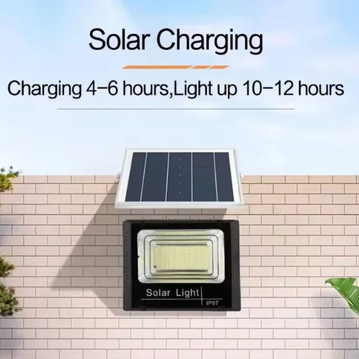 Solar LED Flood Light for Garden - Better - Light(HK Belisson) Lighting Co.,Ltd