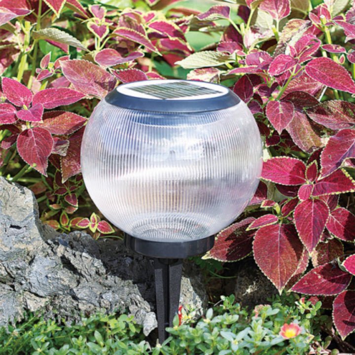 Waterproof Solar LED Spike Lamp - Better - Light(HK Belisson) Lighting Co.,Ltd