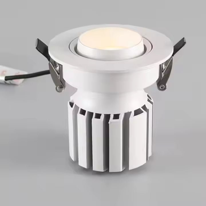 Adjustable Ceiling LED Downlight - Better - Light(HK Belisson) Lighting Co.,Ltd