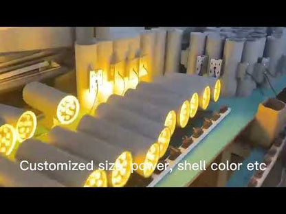 IP65 Waterproof B Q Wall Lights for Garden