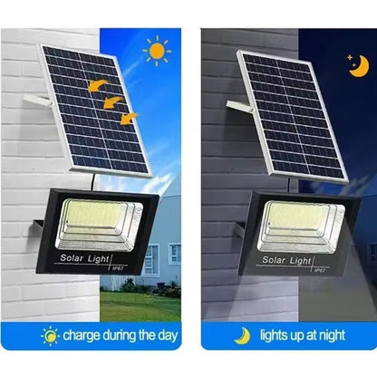 Solar LED Flood Light for Garden - Better - Light(HK Belisson) Lighting Co.,Ltd