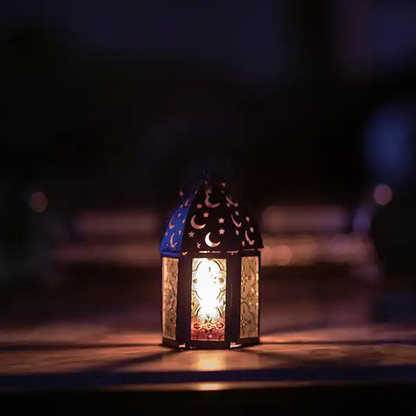 Google 优化、谷歌优化引流、一站式营销解决方案